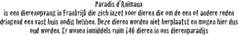 Paradis d’Animaux
is een dierenopvang in Frankrijk die zich inzet voor dieren die om de een of andere reden dringend een vast huis nodig hebben. Deze dieren worden niet herplaatst en mogen hier dus oud worden. Er wonen inmiddels ruim 140 dieren in ons dierenparadijs